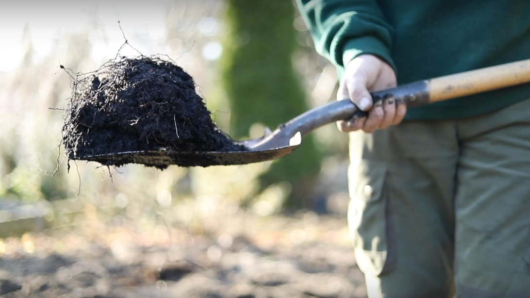 Urban Natures soil mix contain biochar to house microbes, moist and nurture